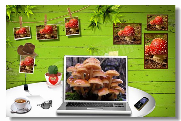 重油燃?xì)庹羝仩t臥式燃?xì)?></p><p style=