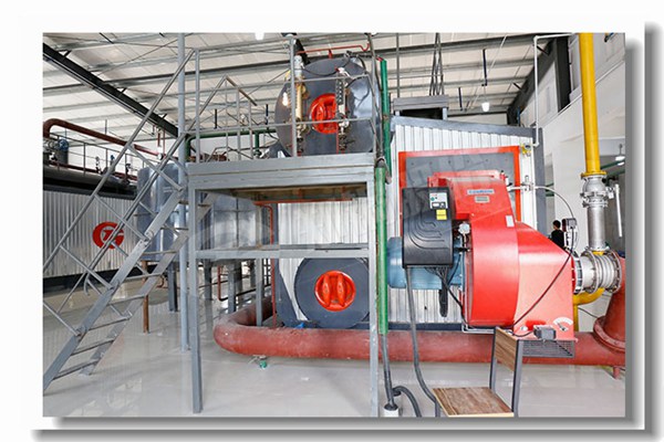 1噸制糖業(yè)SZS燃?xì)鉄崴仩t