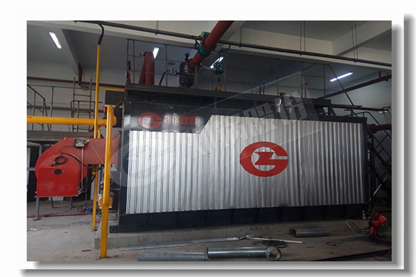 25噸SZS燃?xì)庹羝仩t項目