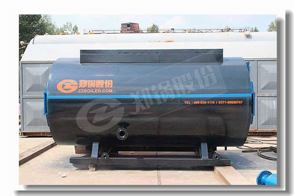 橡膠工業(yè)用6噸燃?xì)庹羝仩t