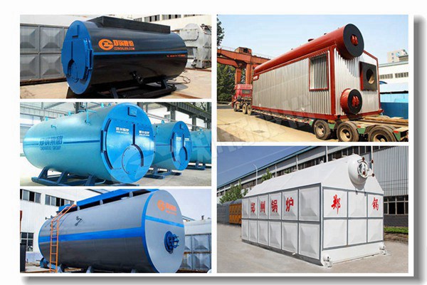 生物質(zhì)立式兩用蒸汽鍋爐有哪些型號？