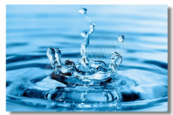 爐排爐同cfb鍋爐比較有什么區(qū)別？