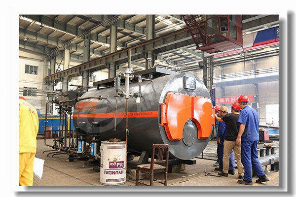 4噸燃生物質(zhì)顆粒鍋爐有哪些性能參數(shù)？