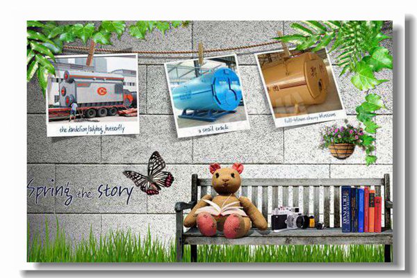 廣東燃氣蒸汽鍋爐多少錢？