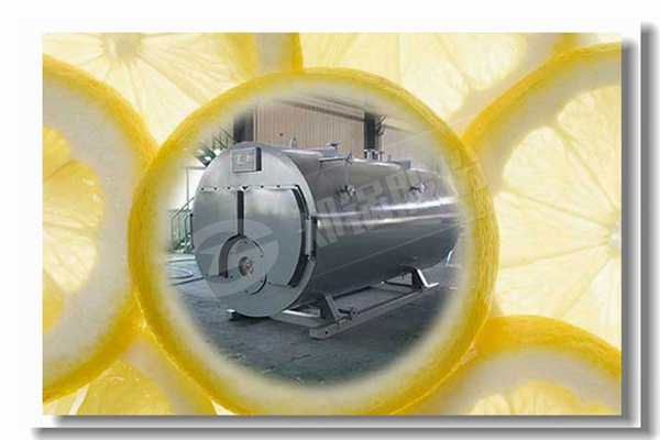 蒸汽鍋爐燒煙煤與無煙煤比較有什么區(qū)別？