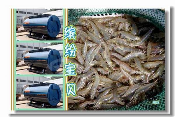 8噸燃?xì)庹羝仩t工程冷凝鍋爐