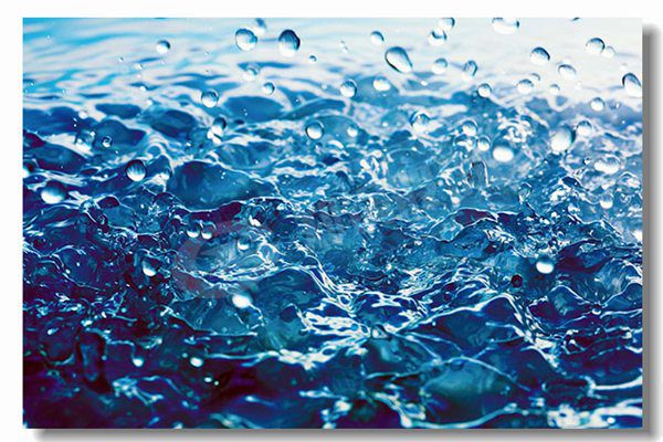 兩噸生物質(zhì)鍋爐多少錢？